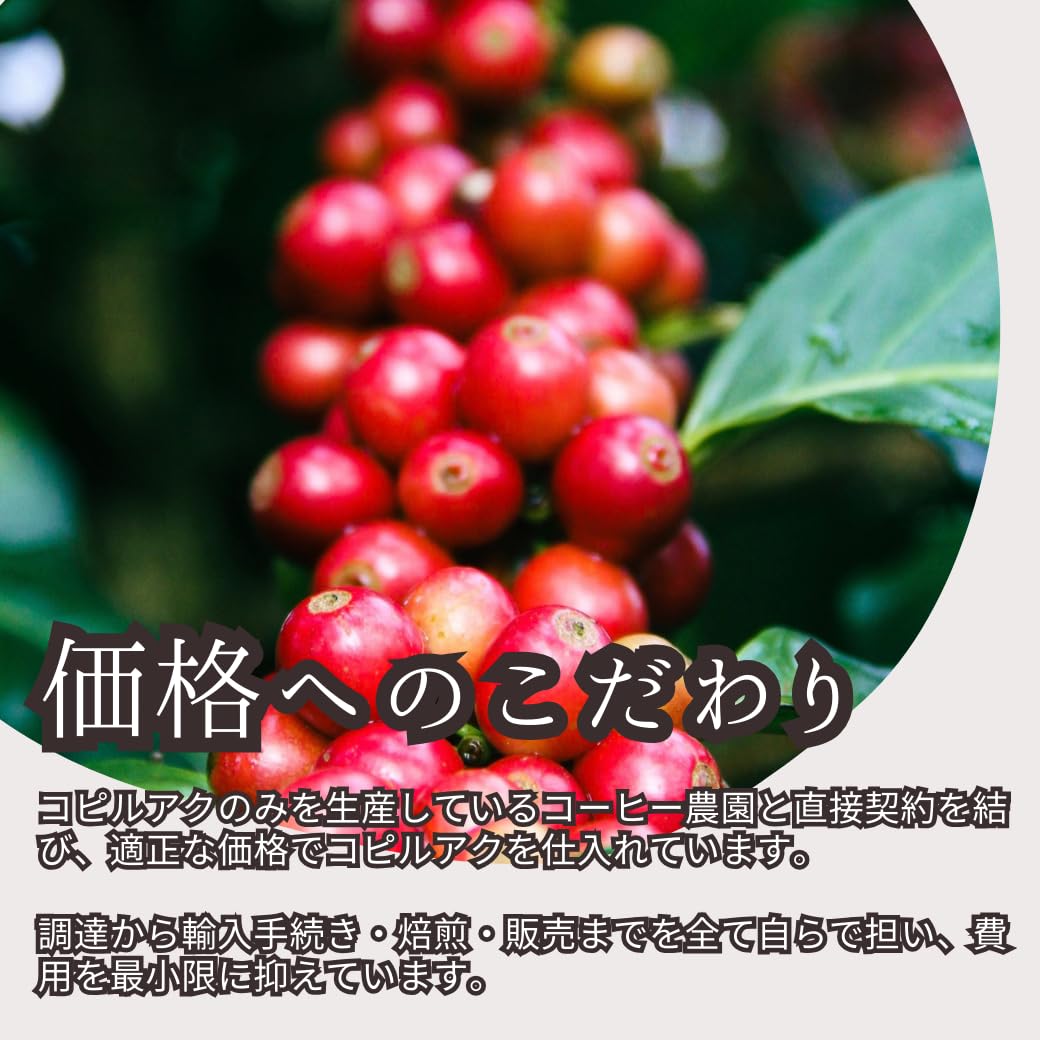 Amazon | 【バリコピ】 インドネシア バリ島産 コピルアク